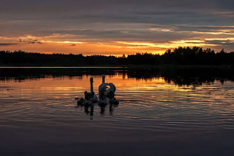 Закат... фото превью