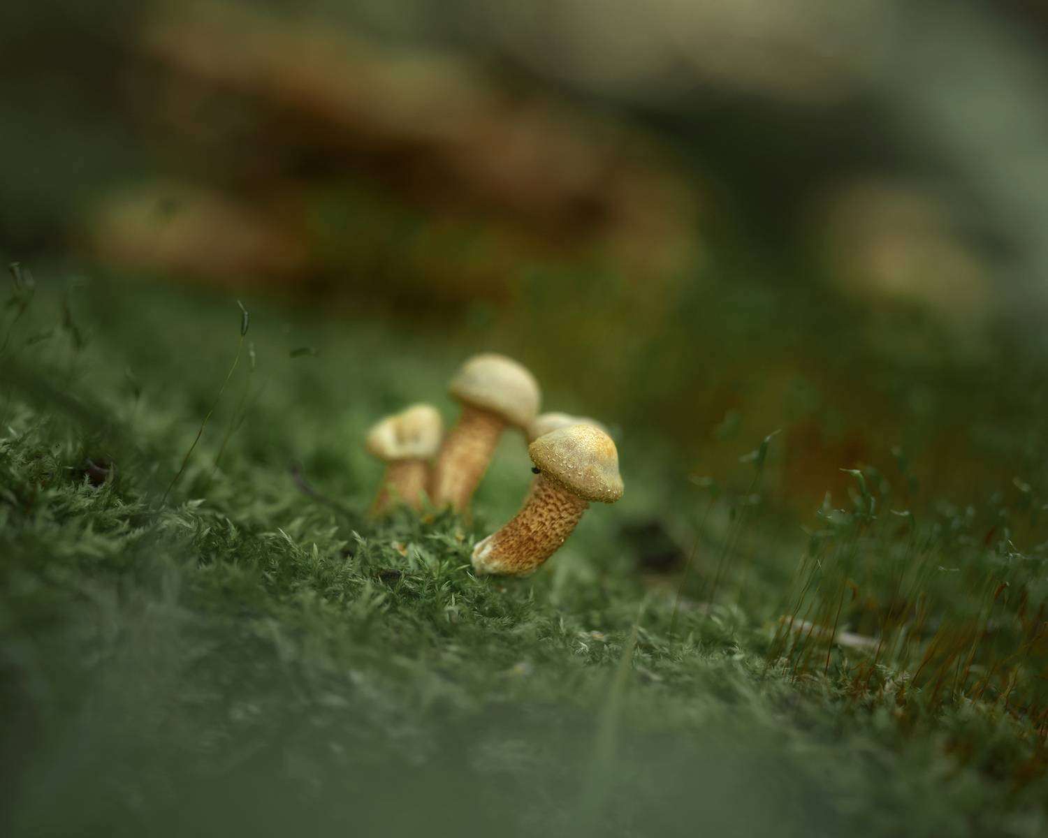 , Завьялова Людмила