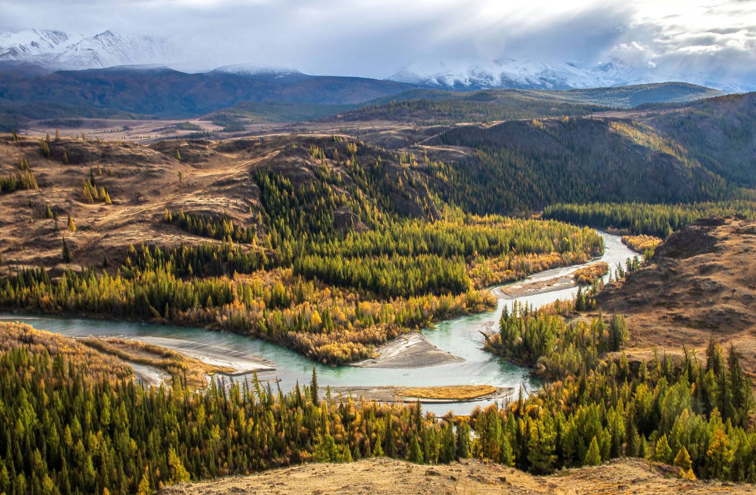 алтай, Добролюбова Тамара