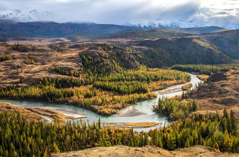 алтай Курайская степь фото превью