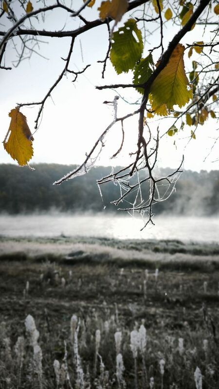 пейзаж. утро. Морозная дымка фото превью