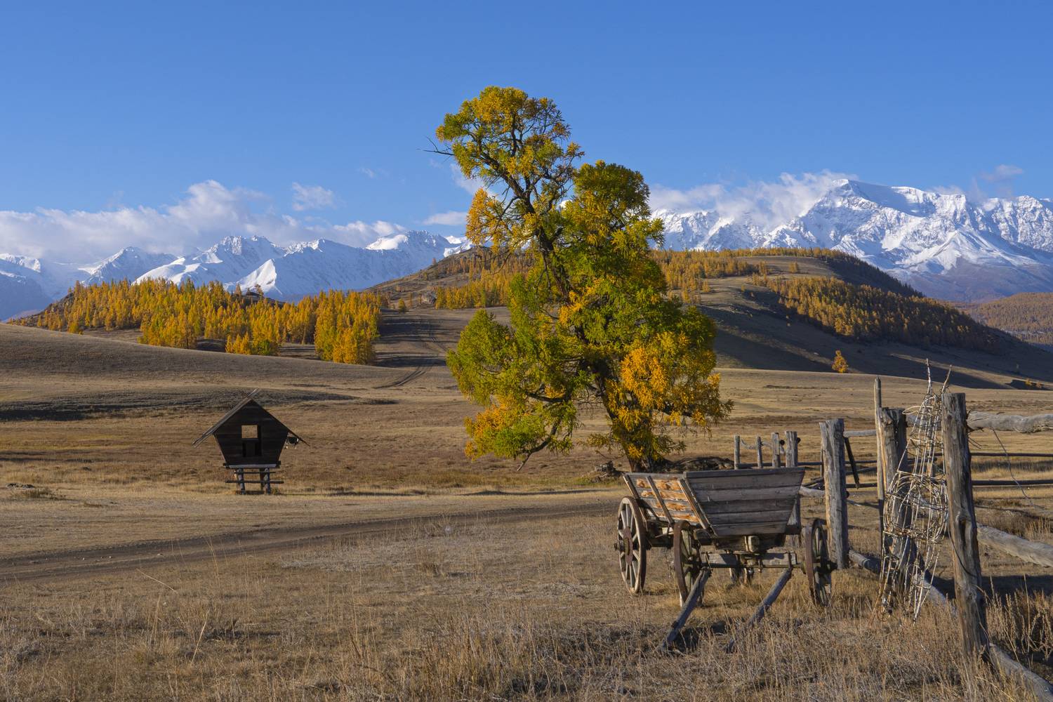 алтай, осень, Дейнекина Галина