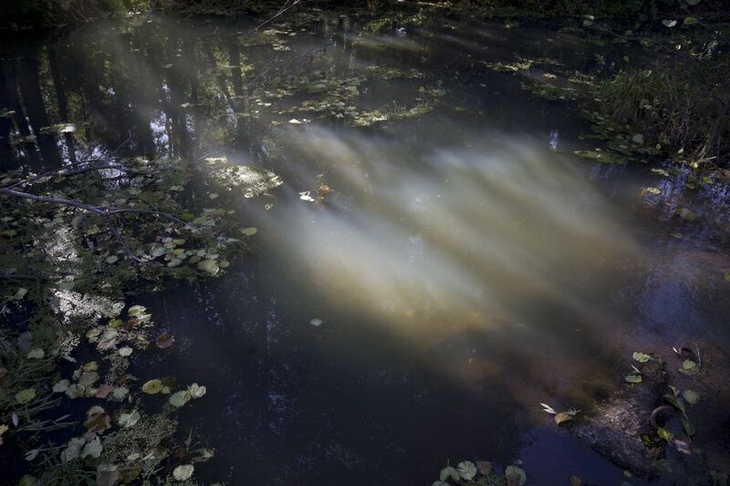 свет Солнечный день фото превью
