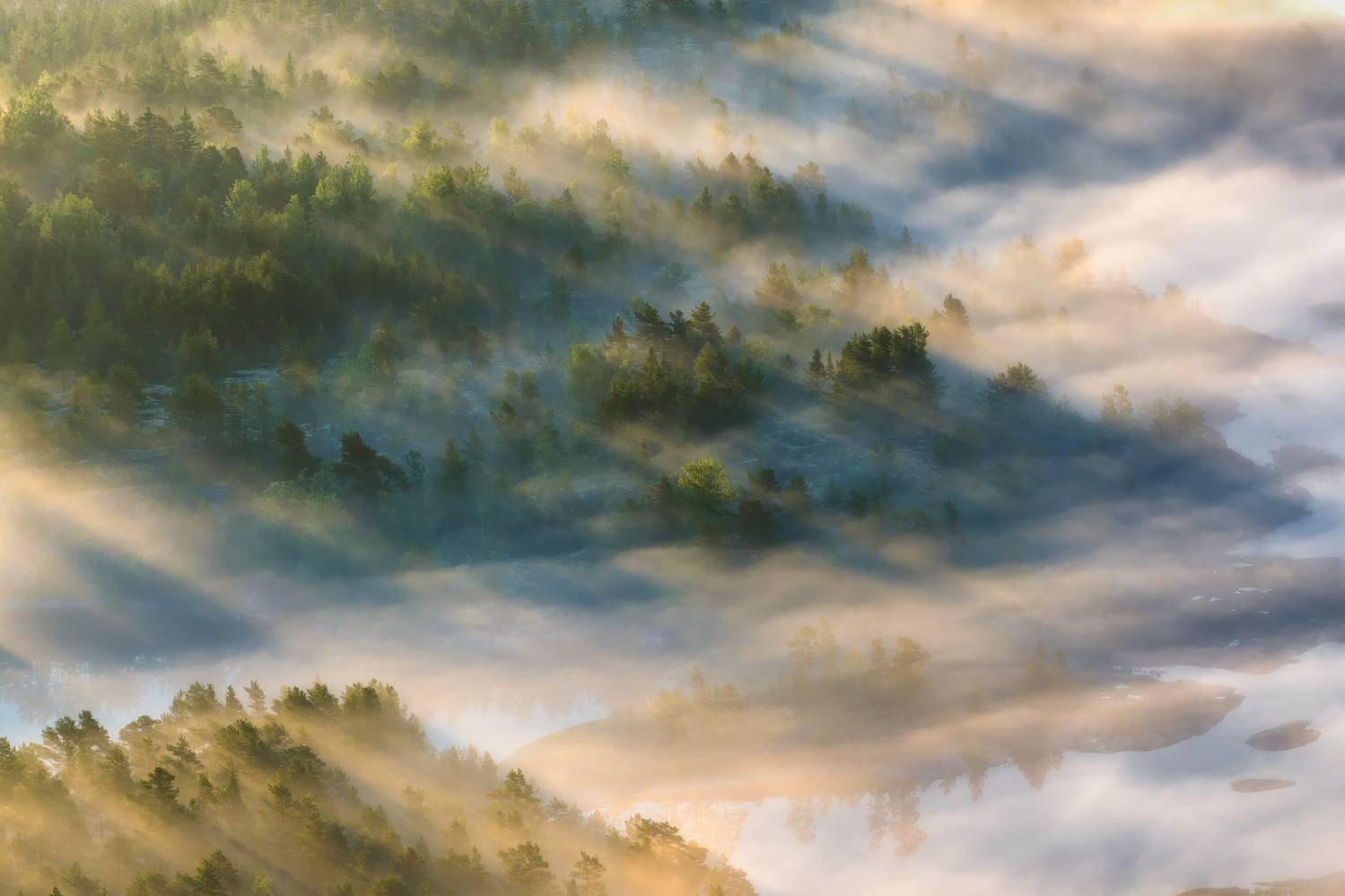 , Столыпин Юрий