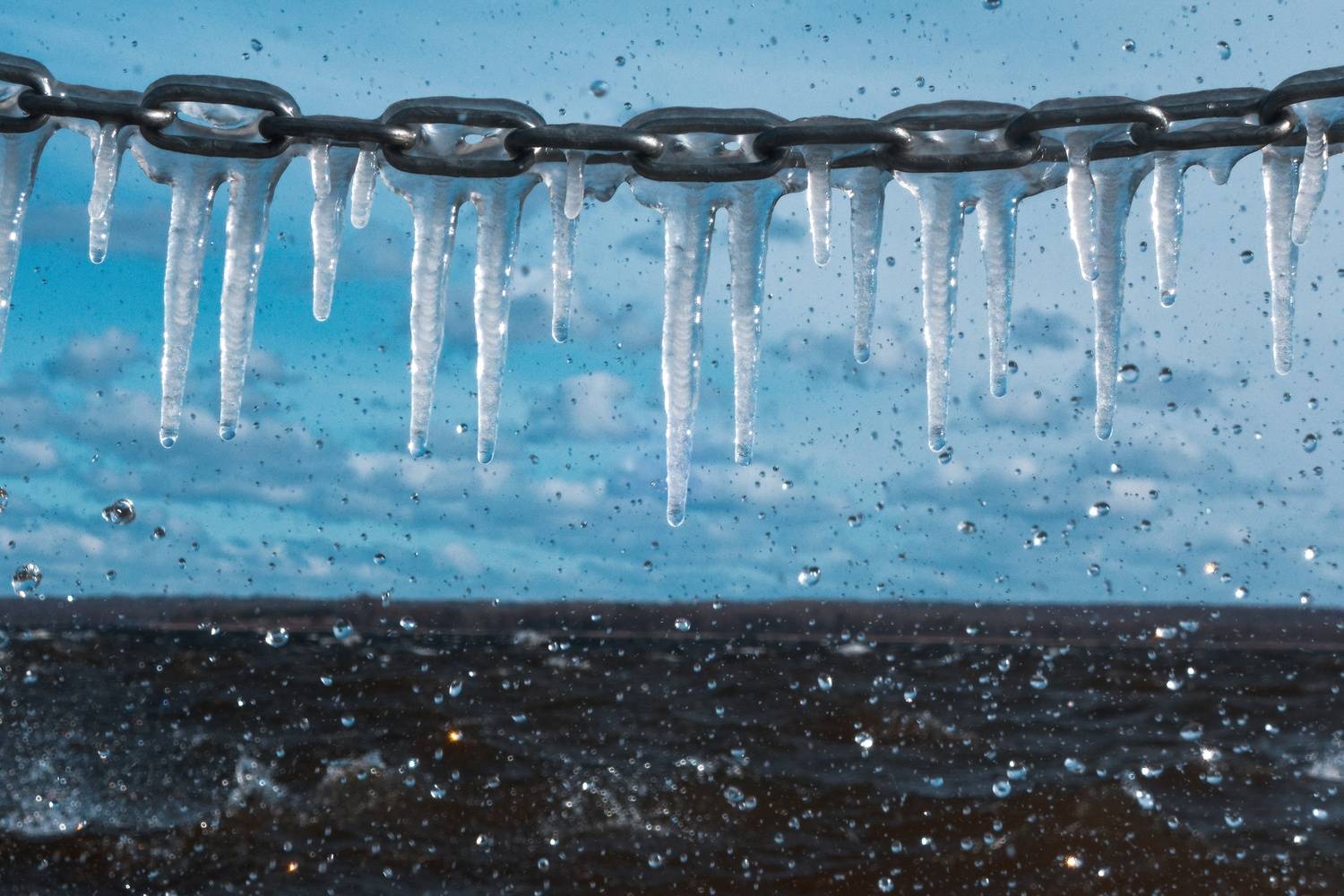 , Какоткин Роман