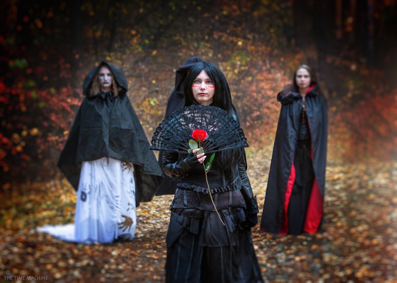 Фотопленер фото превью