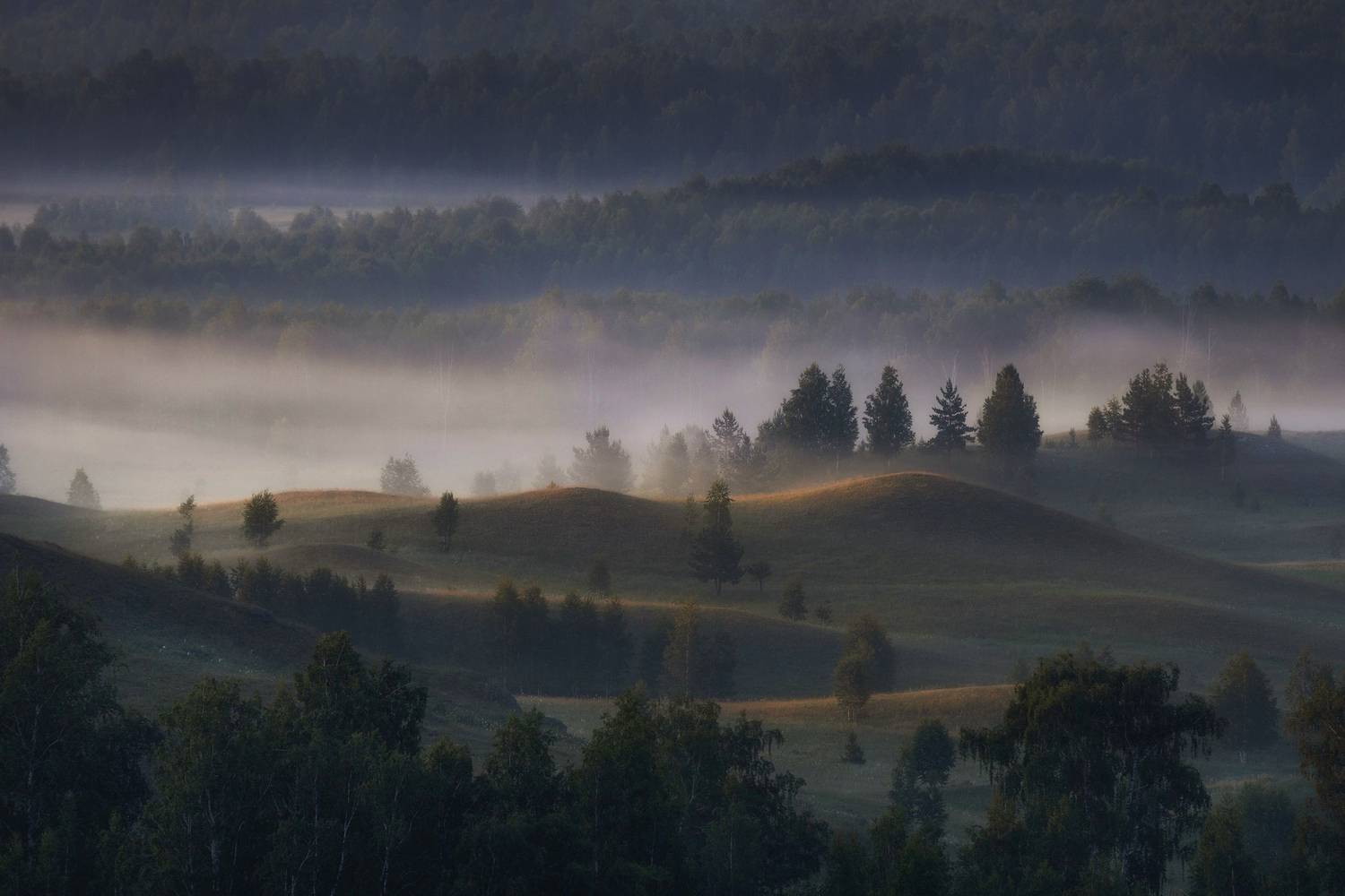 , Татьяна Бирюкова