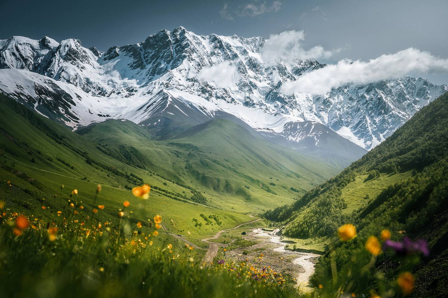 , Илья Купчиков