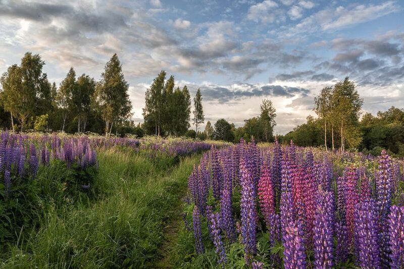 Совсем недавно было лето... фото превью
