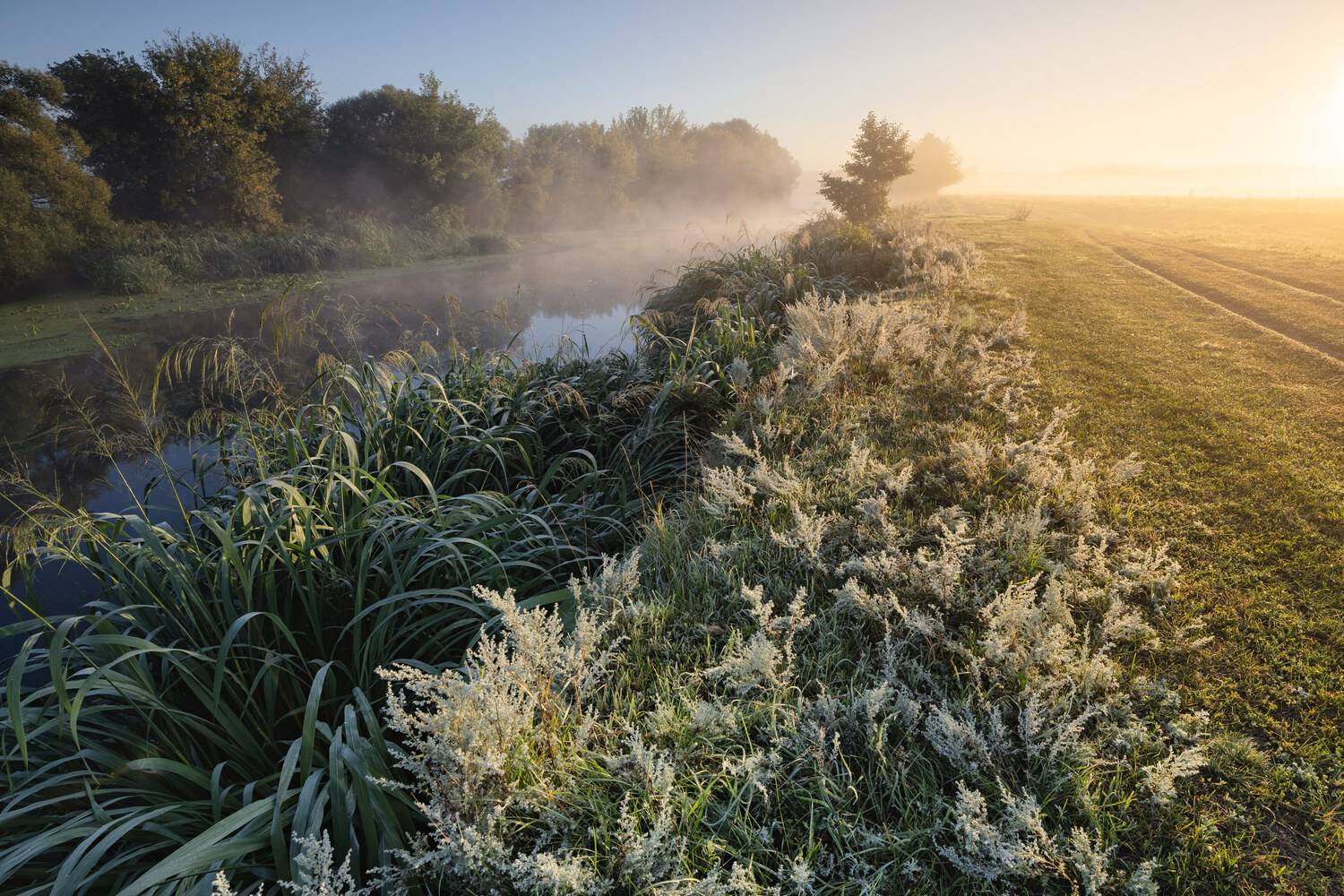, Александр Бредихин