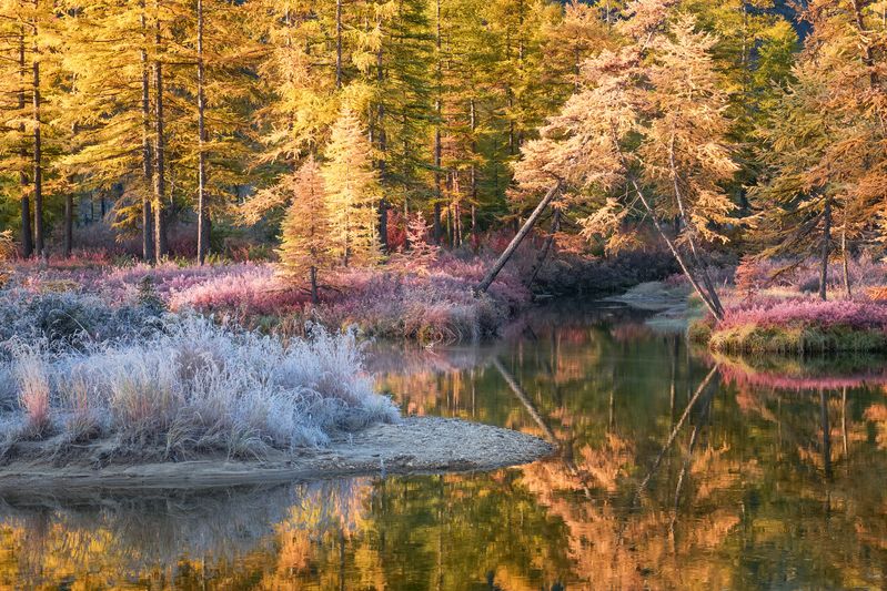 Серебро и золото... фото превью