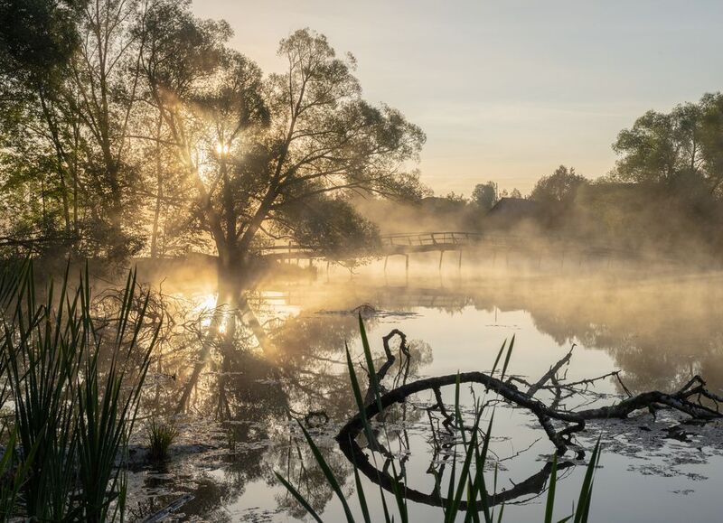 Яркое осеннее утро в поселке Окунево фото превью
