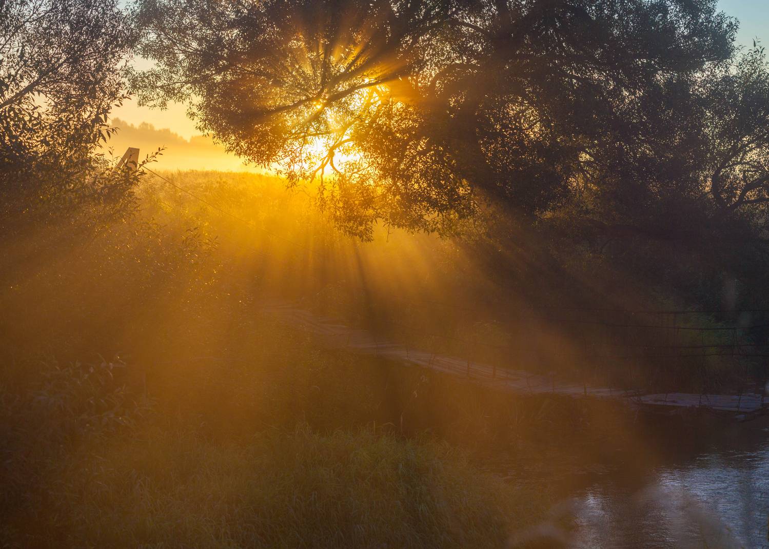 рассвет, солнце , туман, Свистков Александр