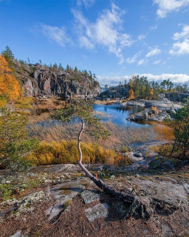Осень на острове Хонкосало фото превью