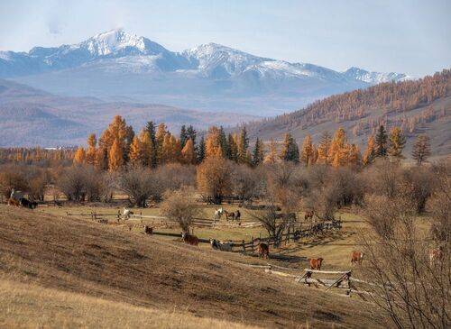 Алтай