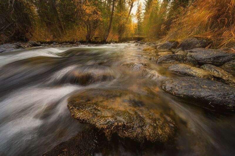 Речка Тюнь фото превью