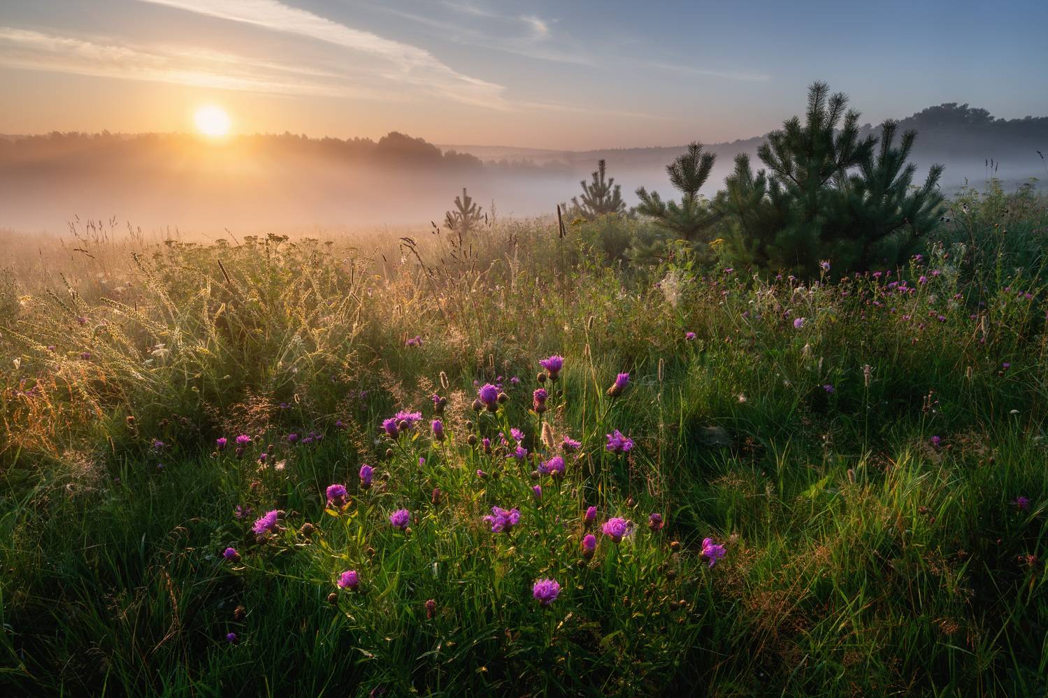 , Алексей Турчин
