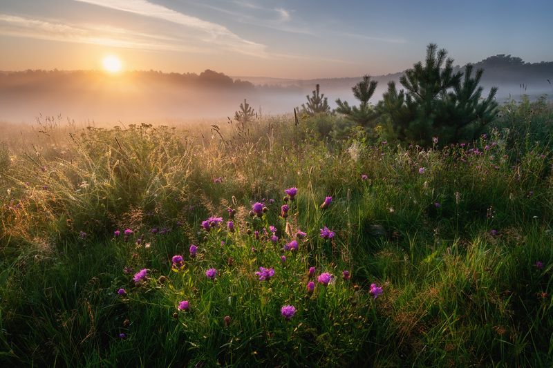 Калужские туманы фото превью