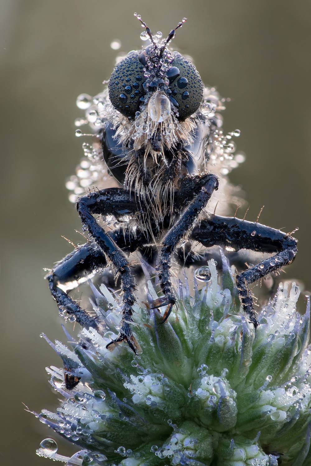 , Кузнецов Дмитрий