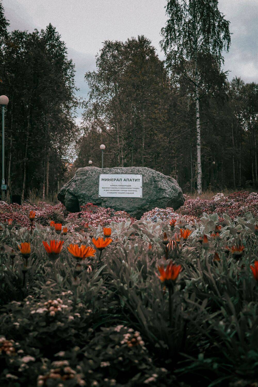 , Александр Сахар