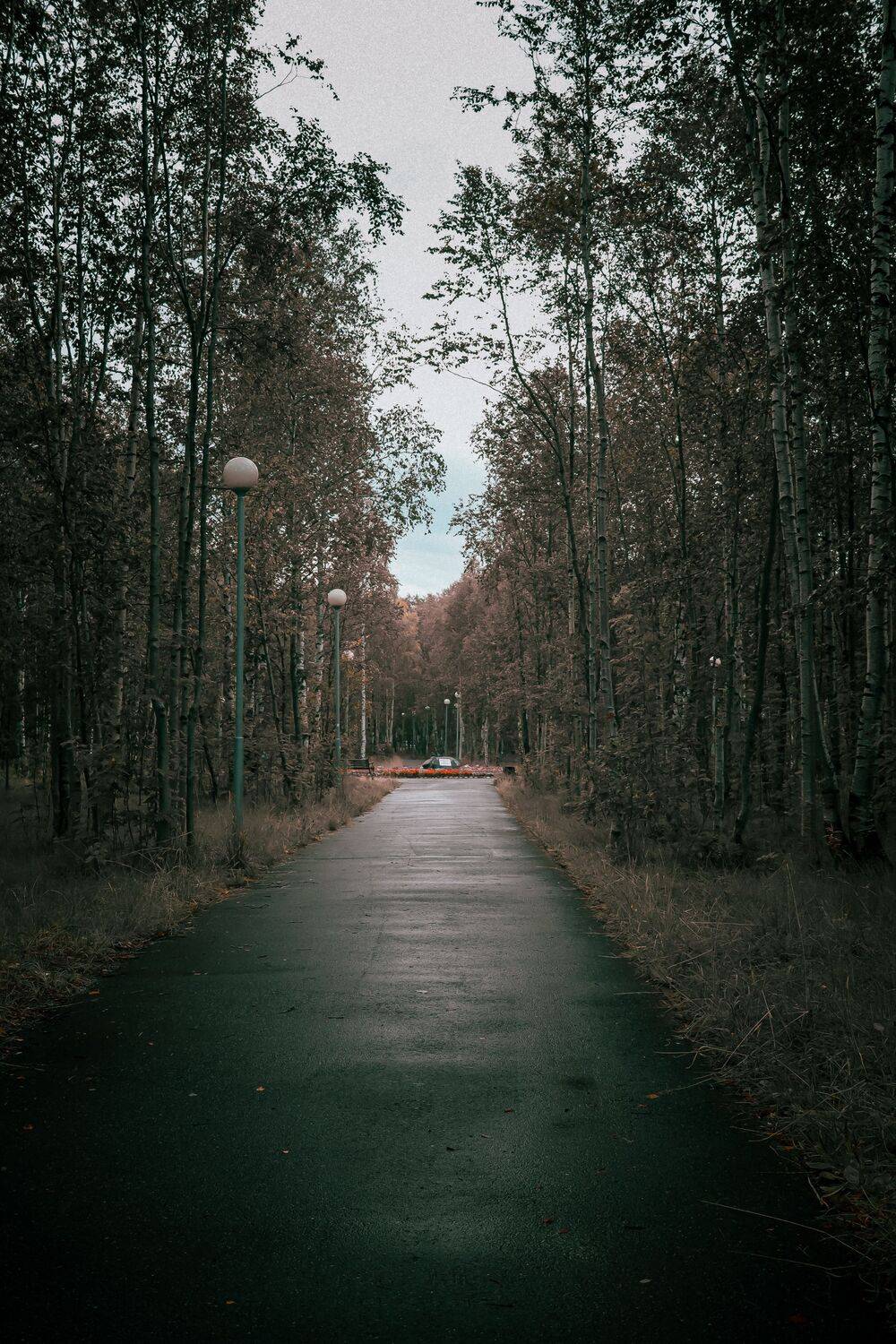 , Александр Сахар