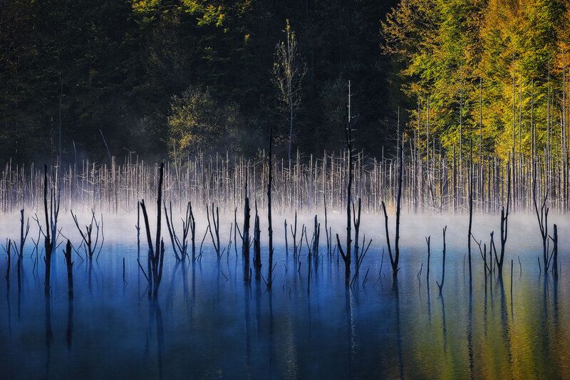 2024 фото превью