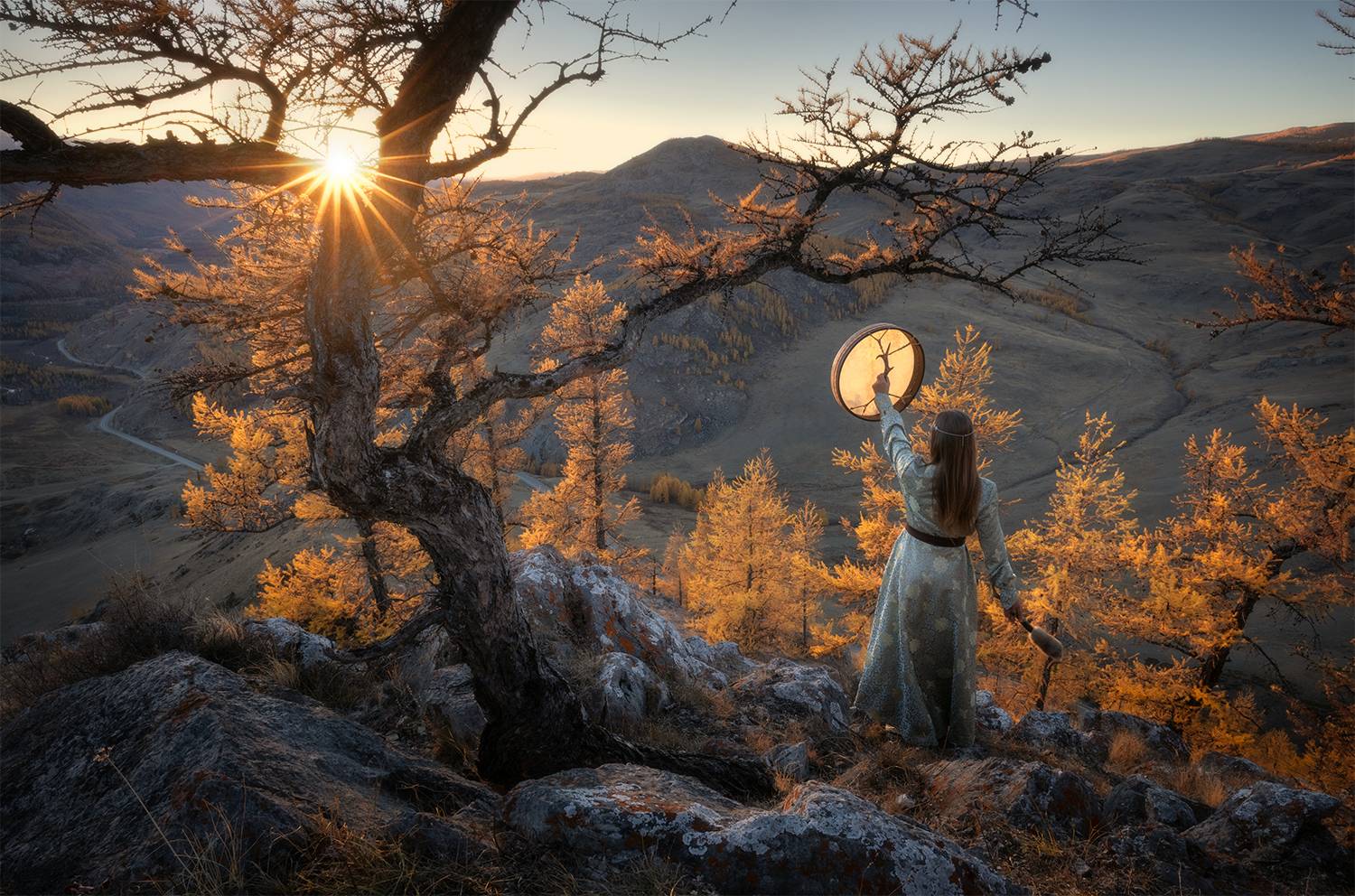 осень, алтай, лиственницы, вечер, закат, солнце, горы, Сергей Буторин