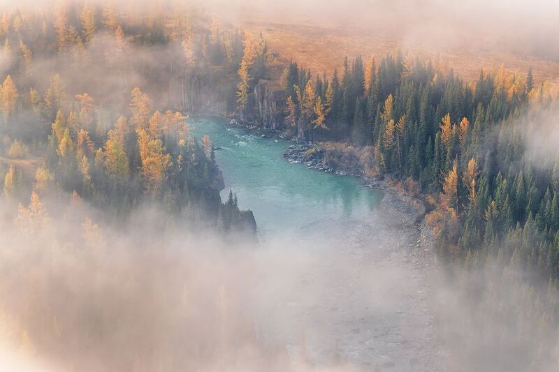 горный, алтай Туманное утро на реке фото превью