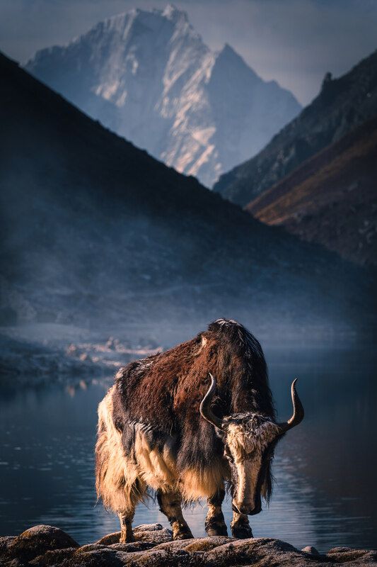 Страж фото превью