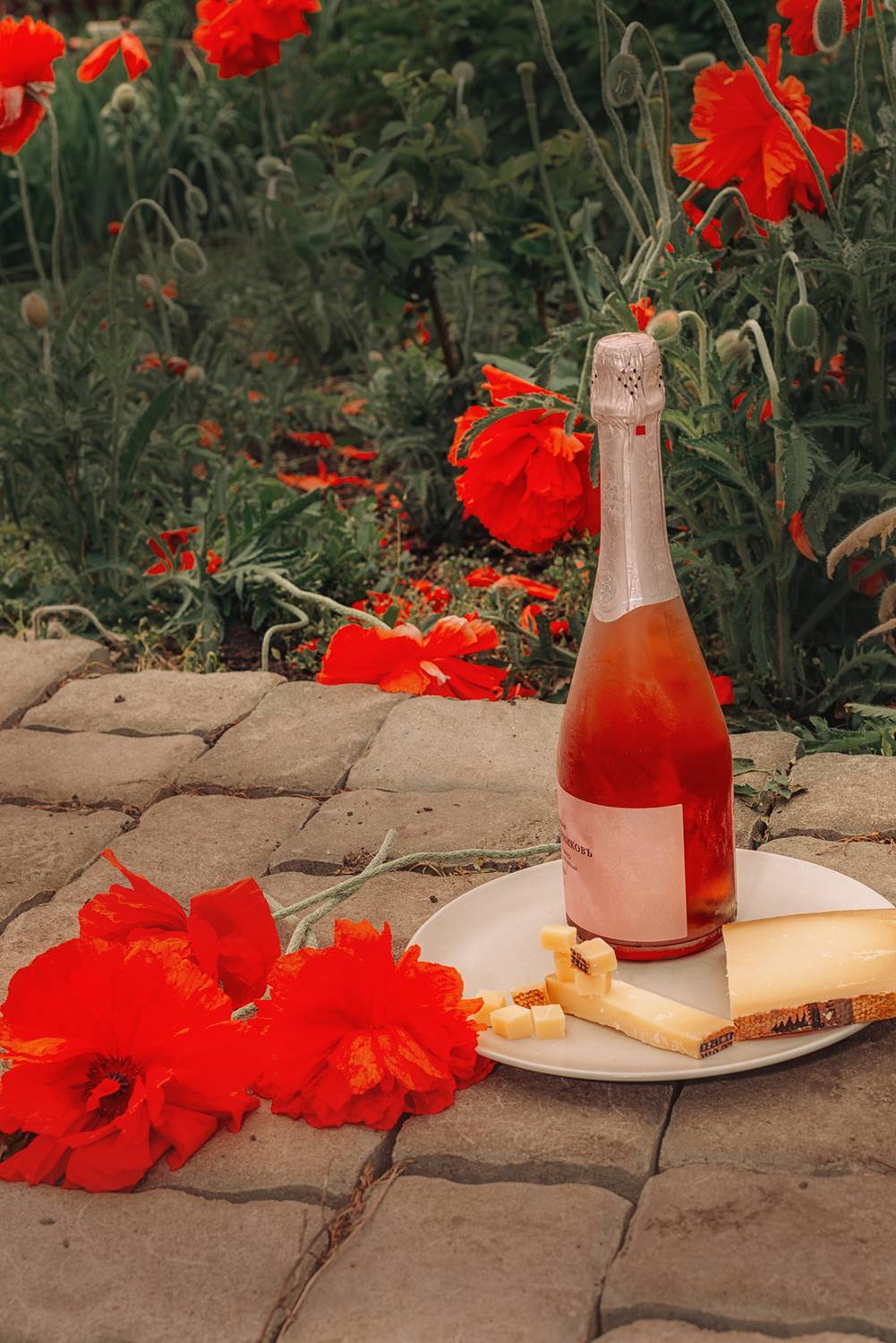 маки сыр шампанское лето,  Мария