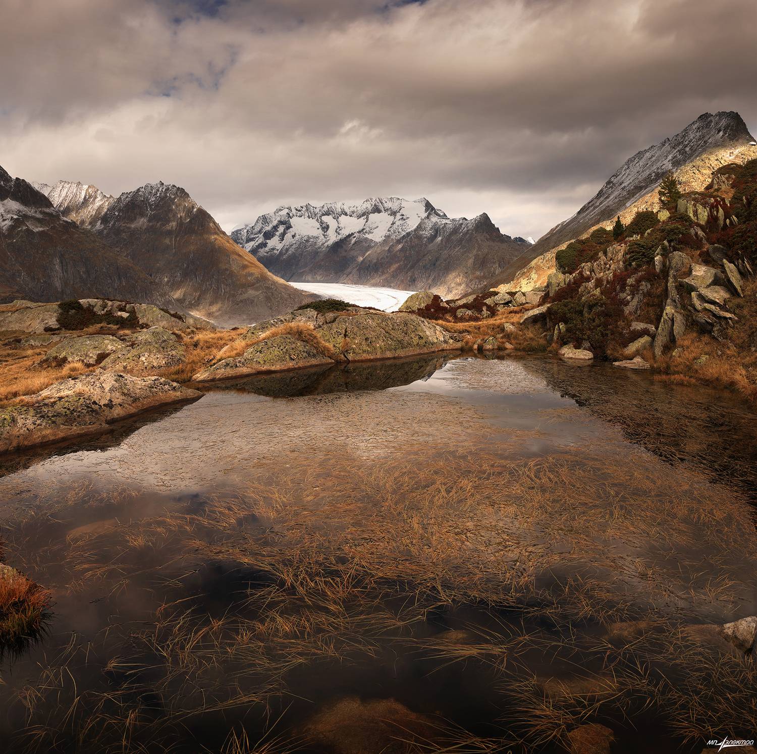 swiss, Матвеев Николай