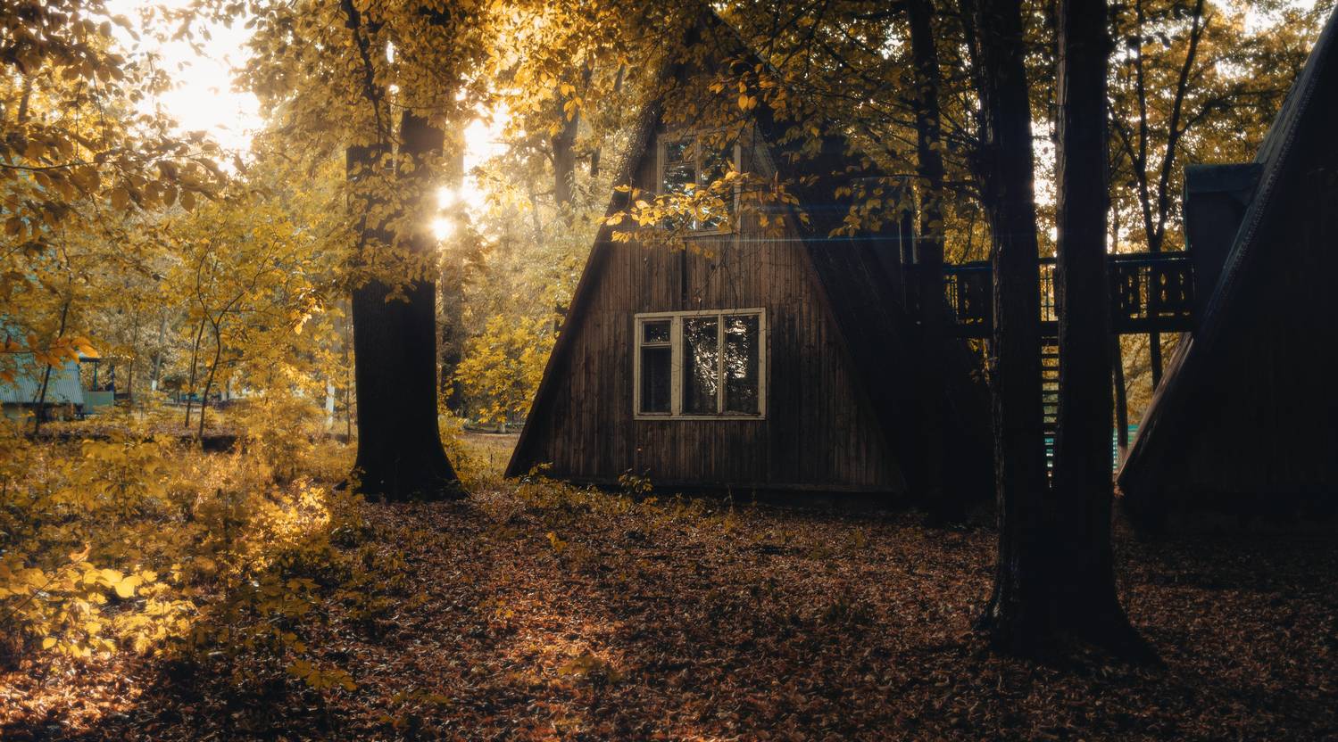 осень, лес, домик, деревянный дом, солнечные лучи, природа, пейзаж, деревья, золотая осень, закат, атмосфера, тишина, спокойствие, уединение, деревня, романтика, свет в лесу, винтаж, настроение, кинематографично, Сухенко Олег