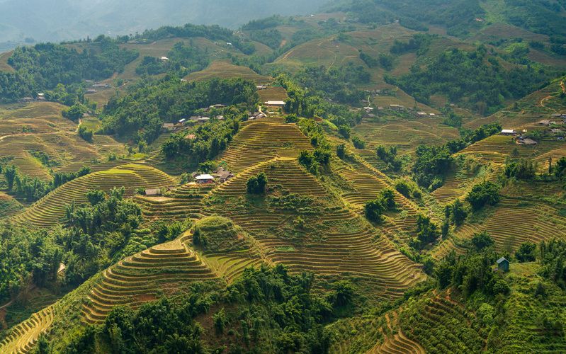 вьетнам, сапа, рисовые террасы Са Па фото превью