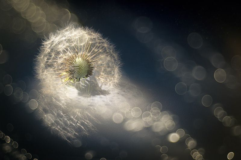 Absent-mindedness фото превью