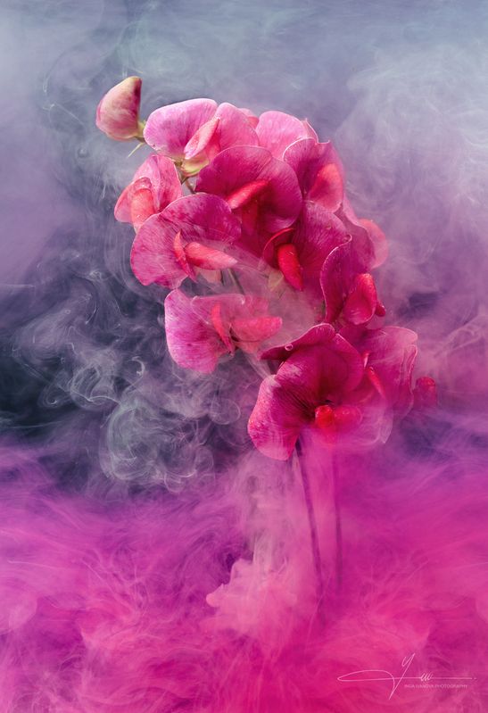 Bright flower фото превью