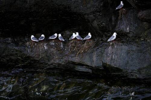 Мокрая жизнь