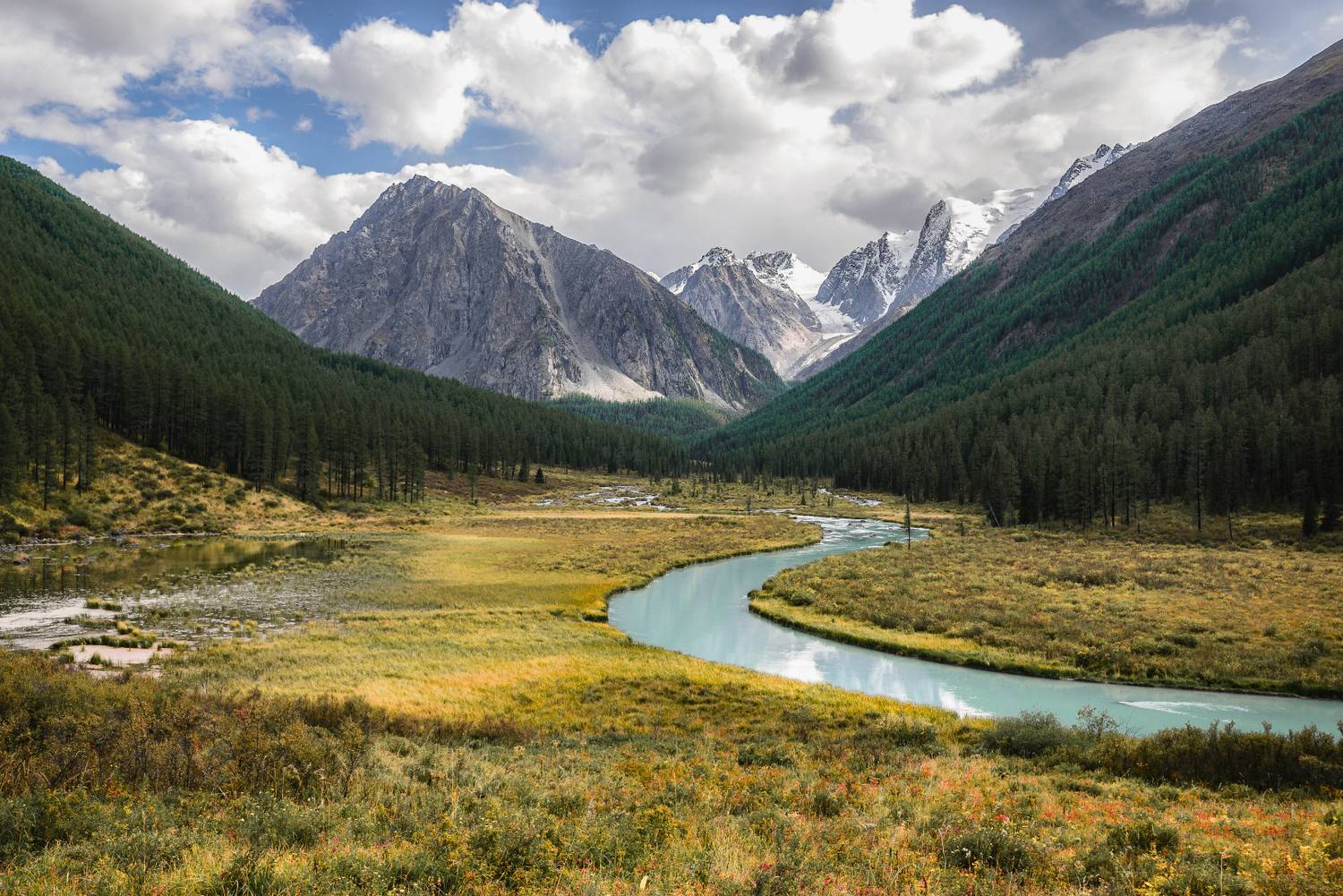 алтай, осень, оранжевый, лето, шавлинские, горы, nikon, d610, Лукашенко Сергей
