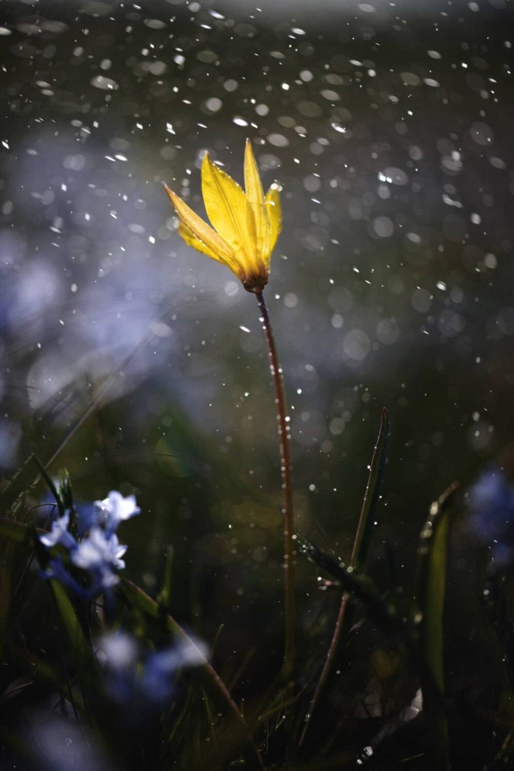 , Дегтярёва Анна