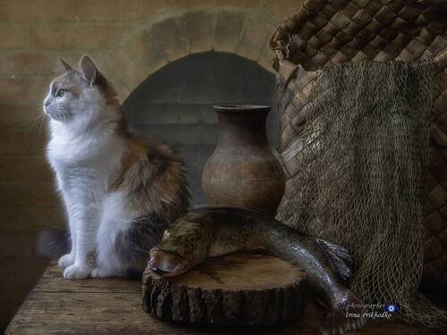 По щучьему велению