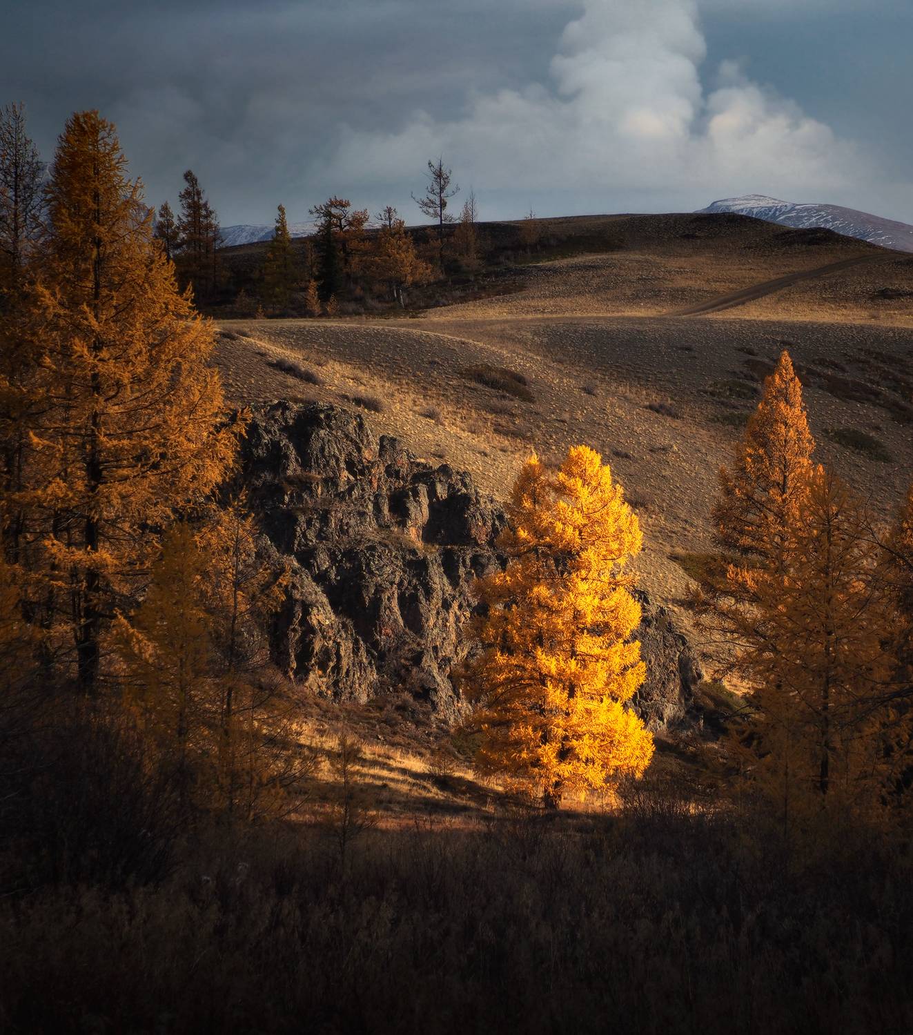 , Галина Хвостенко