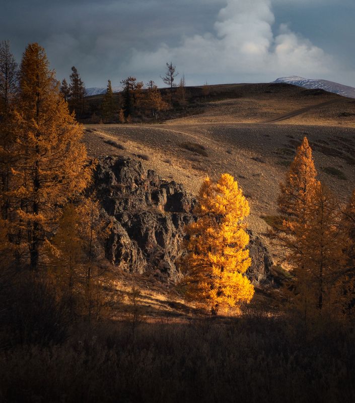 Осенняя зарисовка фото превью