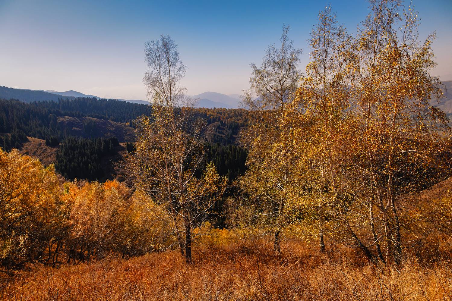 кыргызстан, чон-кемин, Элина Магалимова