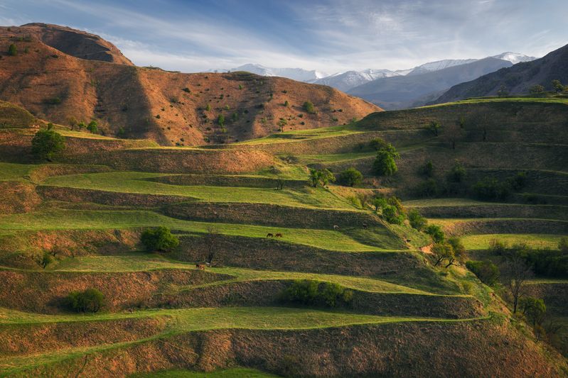 mountains, nature, landscape, rural, grass, outdoors, green, meadow, travel, spring, caucasus, terraces, пейзаж, горы, дагестан, террасы, весна, природа Бархатные террасы фото превью