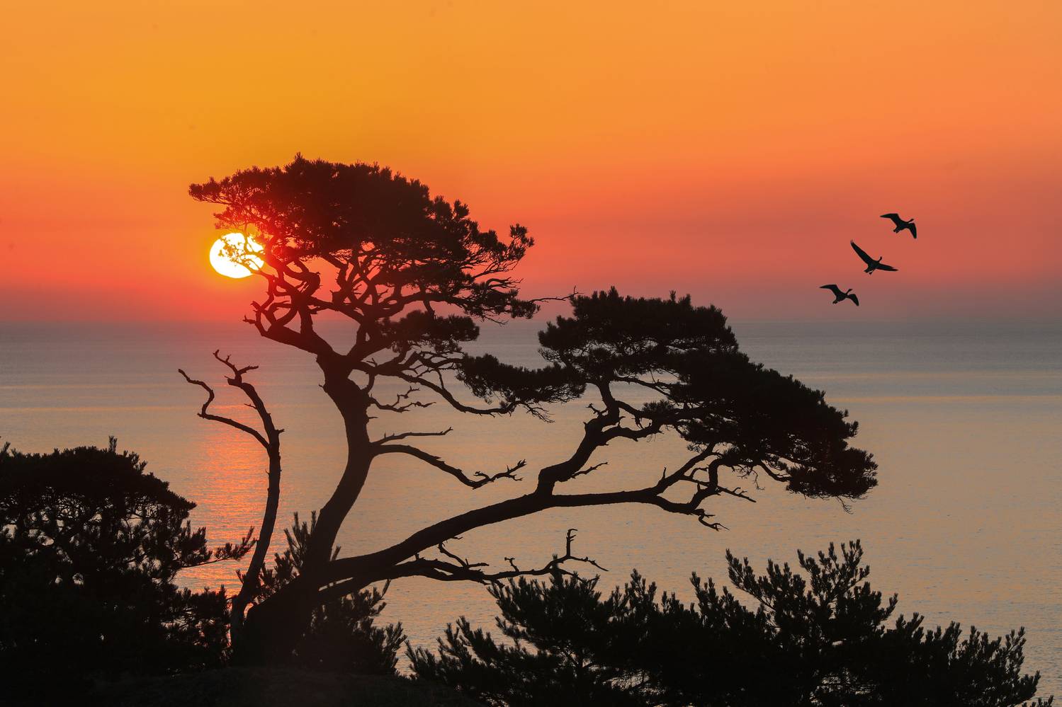 , Андрей Ершов