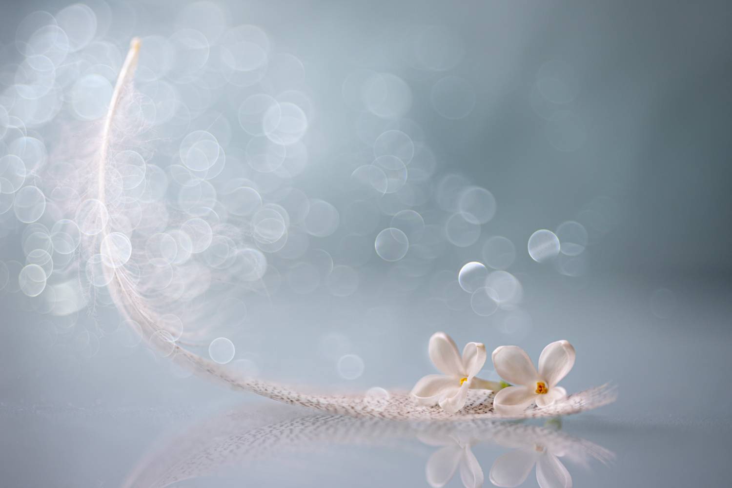 , Копцев Игорь