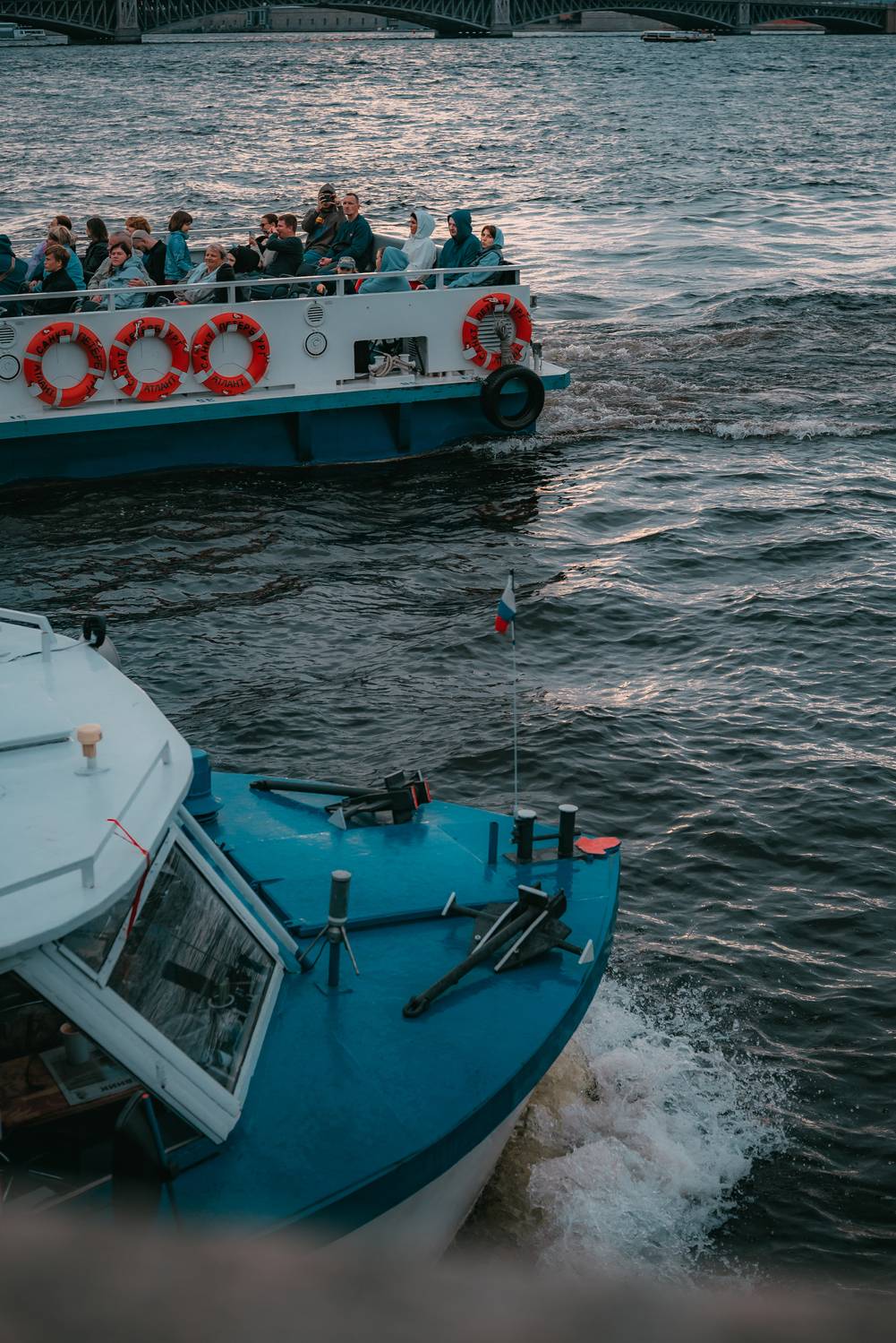 , Дарья Шевченко