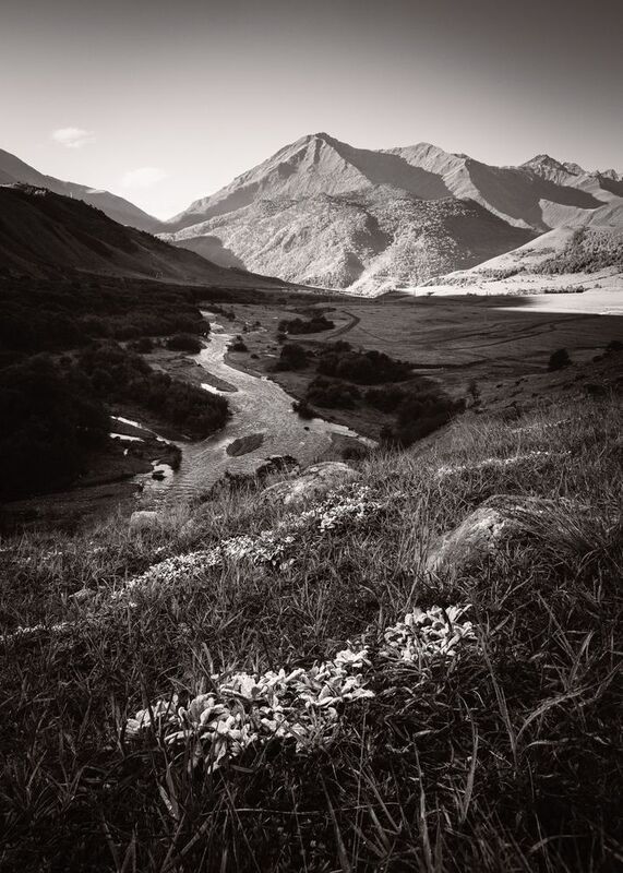 Targim фото превью