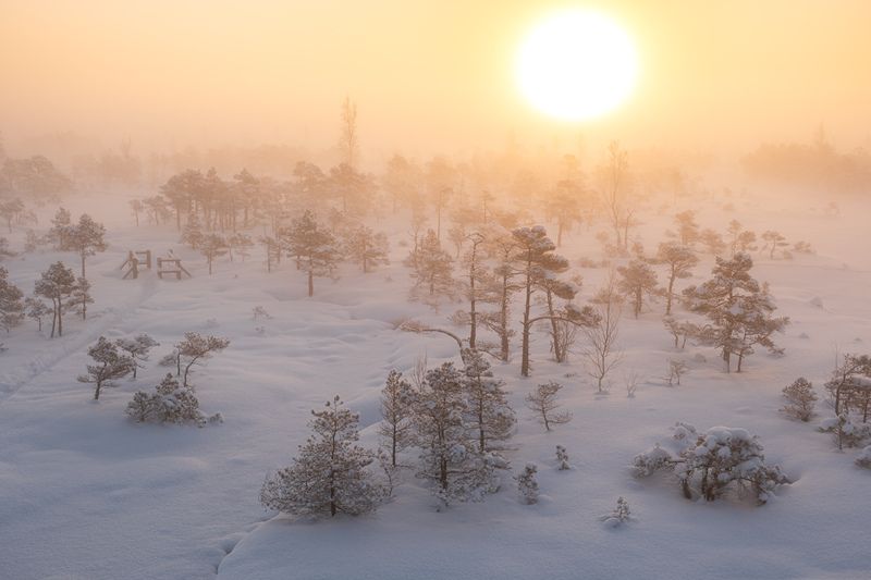 Скоро зима… фото превью