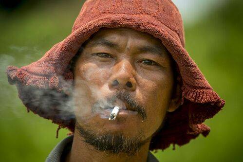 Азиатский буйвол (Камбоджа)