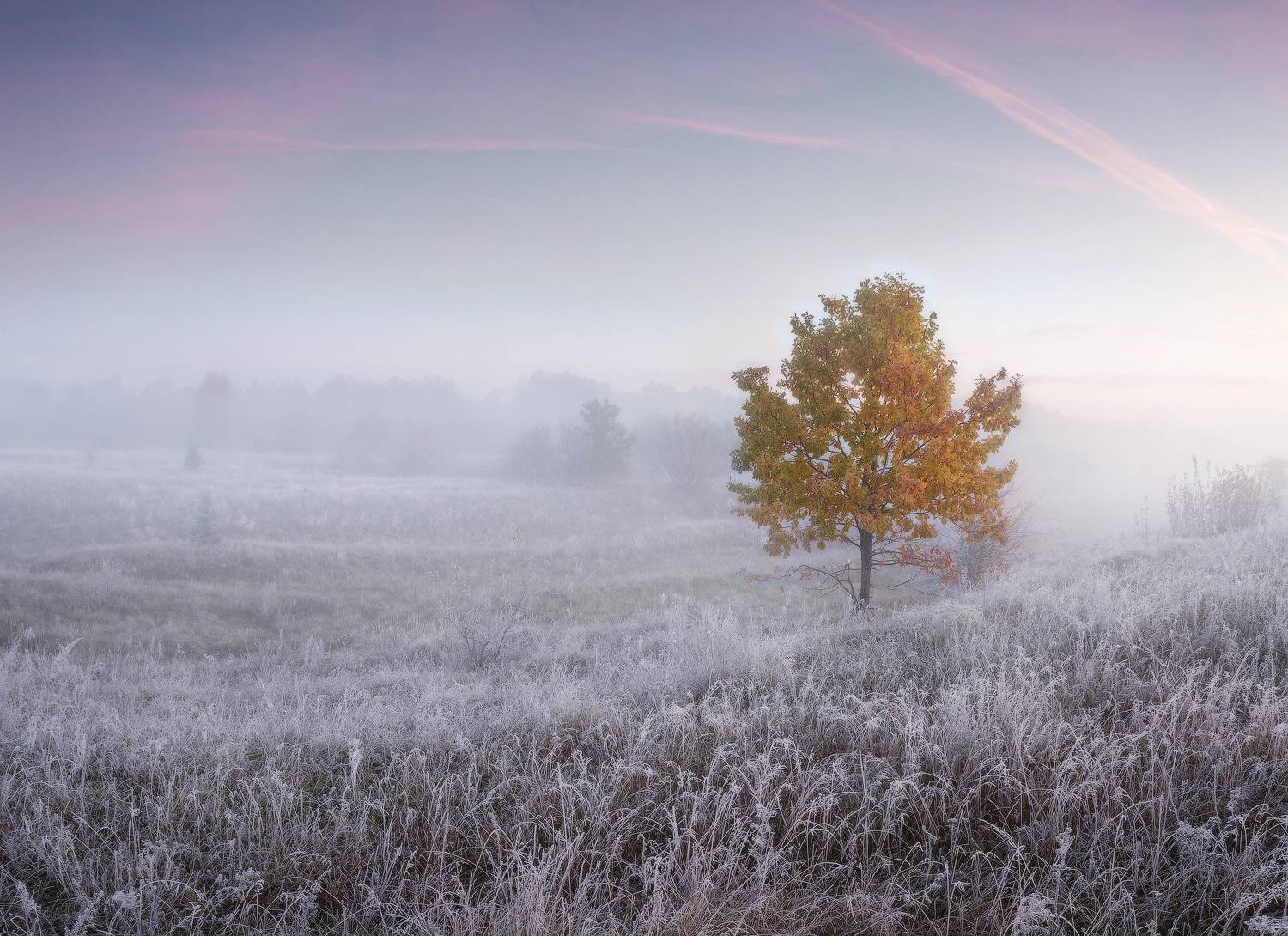 осень утро, Михаил Корнилов